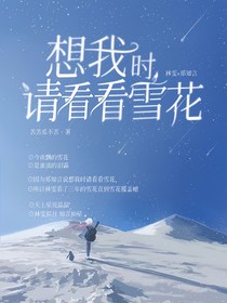 想我时请看看雪花