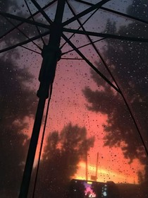 我的陷阱
