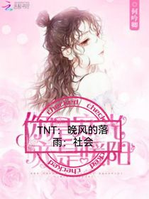 TNT：晚风的落雨第三季第三章