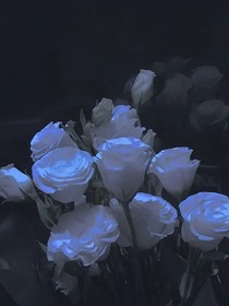 能永远在一起吗