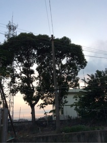 書(shū)名正在修改1665882595200132165