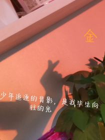 凹凸世界：返回