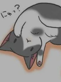 新世界，猫城