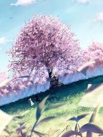 樱花树下的小说女孩
