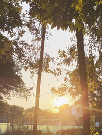 夏日初见阳光