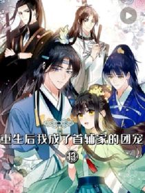 重生后我成了首辅家的团宠