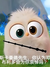 有限光源