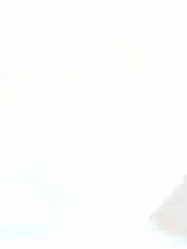 脑残粉的理智追求