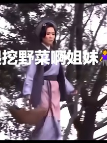 重回之王宝钏