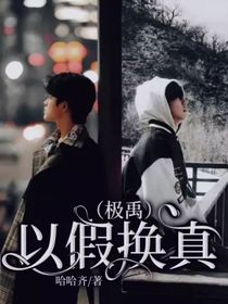以假换真（极禹）