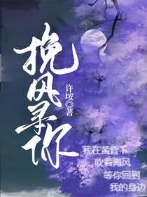挽风寻你