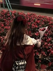 玫瑰染上了鲜血