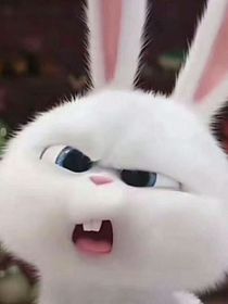 嘴笨心哑