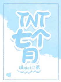 TNT：七个月