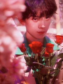 TF家族三代cp故事