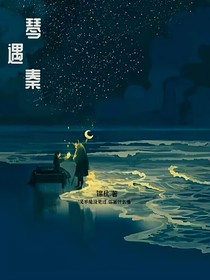琴遇秦