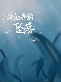 漂泊者的坠落