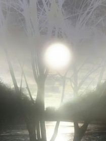 你是我最后一次勇敢