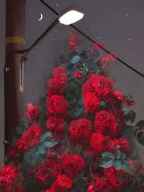 知遇，见你