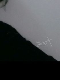 恶意单向