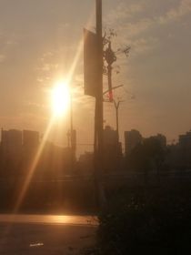 夏眠的胃癌