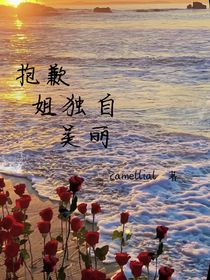 抱歉姐独自美丽