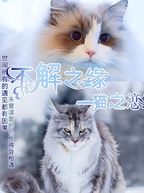 不解之緣——貓之戀