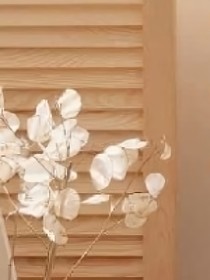 戚意