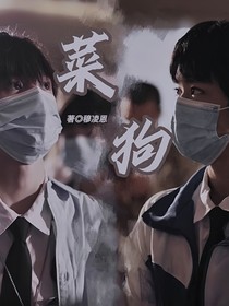 左鄧：菜狗