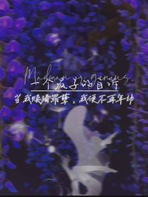 一个疯子的自诉