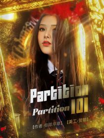 Partition101