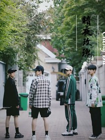 TF家族三代：暗夜玫瑰