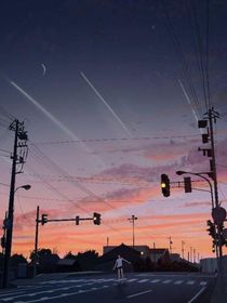 杀死向北鸟