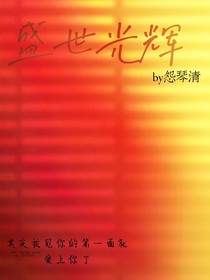 盛世光辉