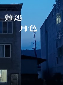 难逃月色