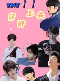 TNT：你好上头