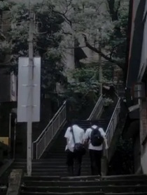 祺鑫：狐狸法则
