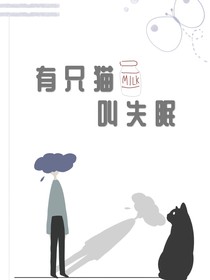 有只貓叫失眠