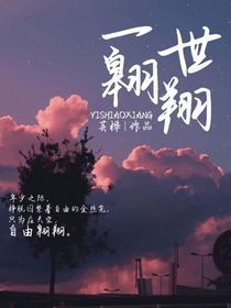 一世翱翔