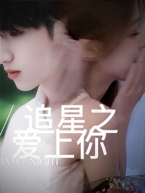追星之愛上你