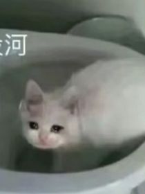 ch到我家