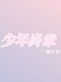 少年终章