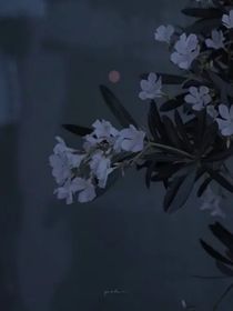 穿进小说时间线以前