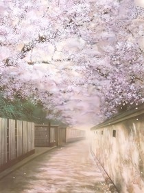 败落的樱花