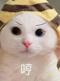 冷静冷静你和我