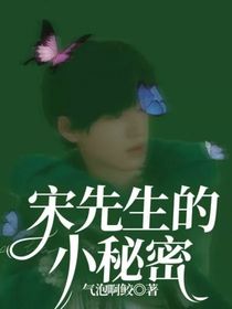 宋先生的小秘密