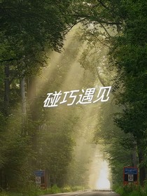 TNT：碰巧遇见-d567