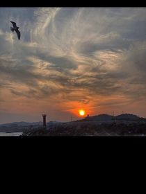 清河长明
