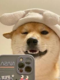 邻家的男朋友