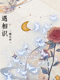 遇相识